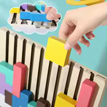 Montessori Brain Blocks